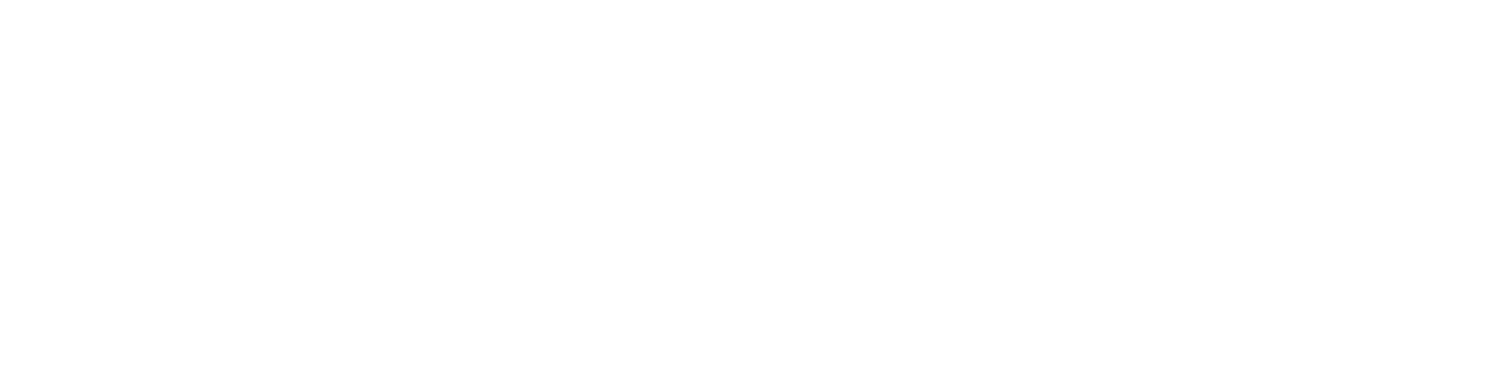 BMAW_Logo_weiss