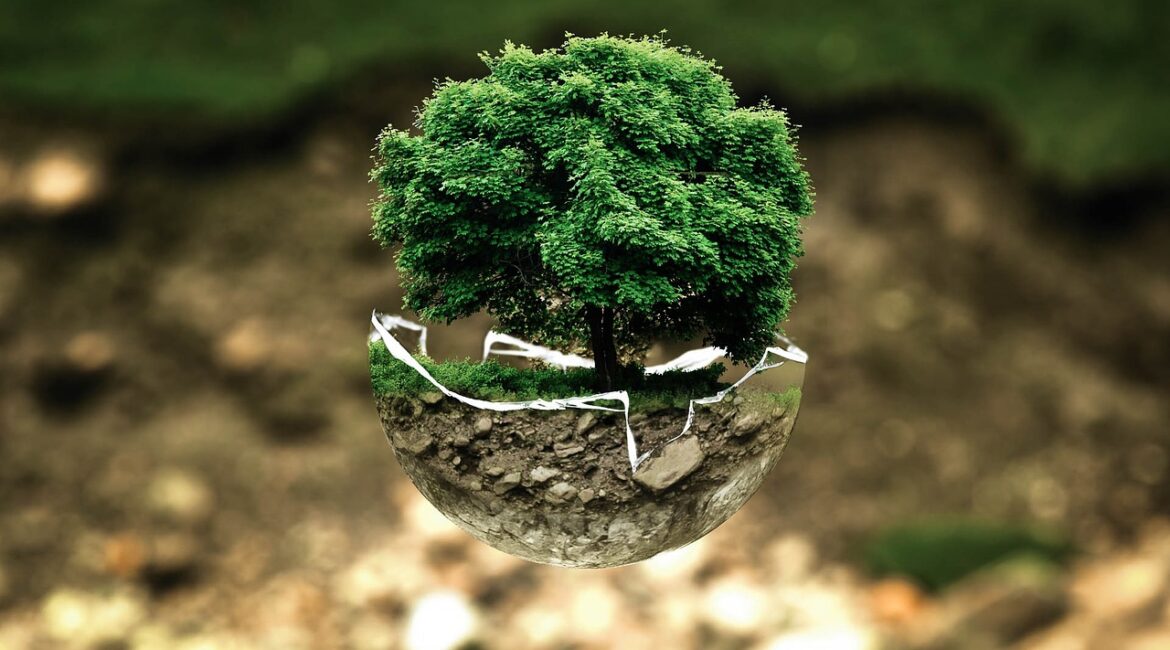 environmental-protection-g638c9ec40_1280